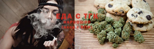 СК Инта
