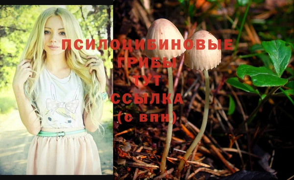 спиды Иннополис