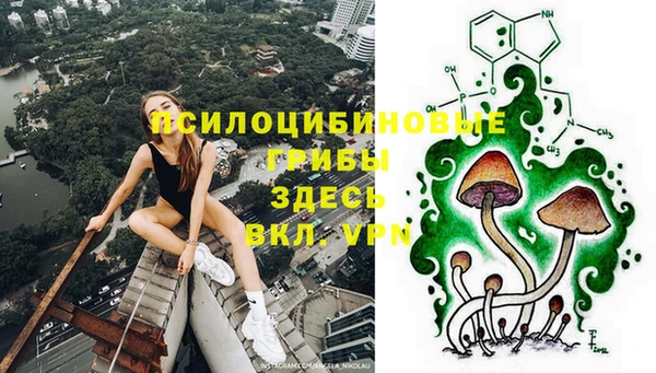СК Инта