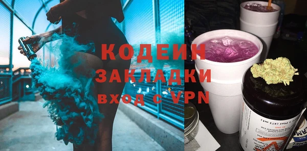 СК Инта