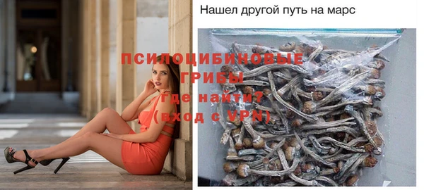 спиды Иннополис