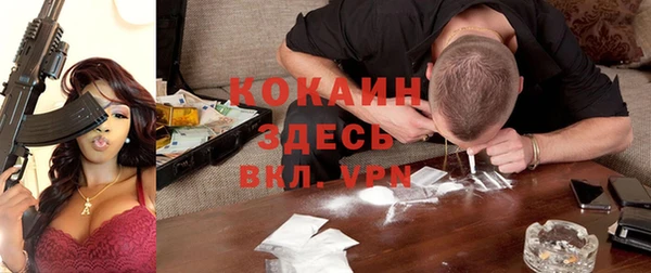 СК Инта