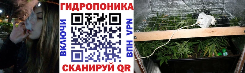 Шишки марихуана сатива  Купить где  Балей 